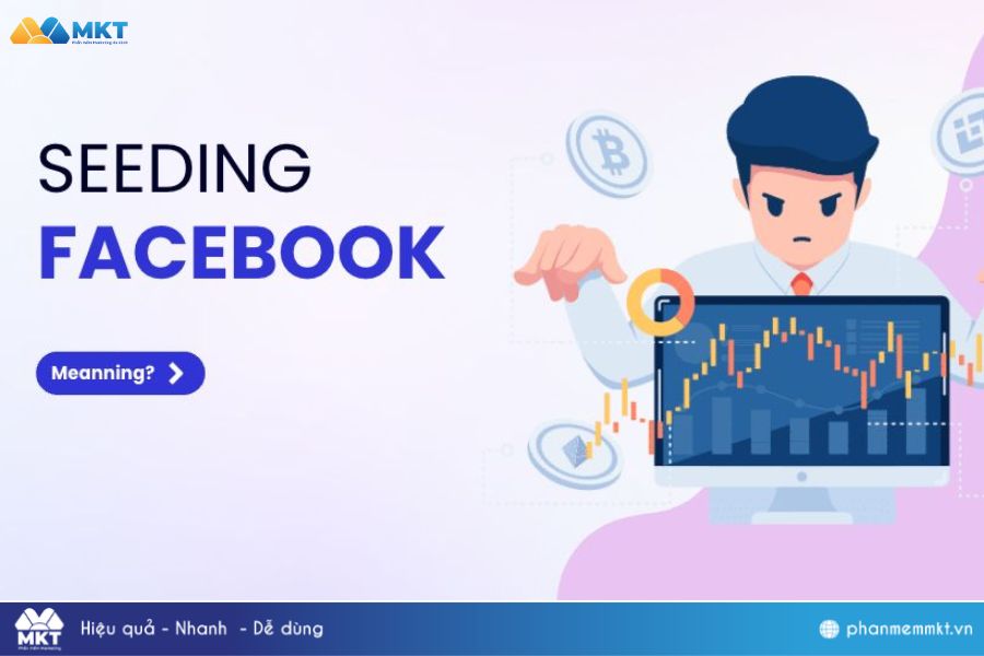 Mẹo Seeding Bài Viết Facebook Tự Động Uy Tín, Tốt Nhất 2025