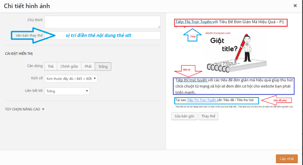 Tối ưu thẻ Alt trong Seo Onpage