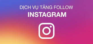 tang-follow-instagram