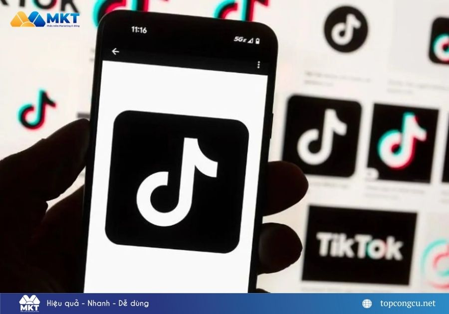 Seeding comment TikTok